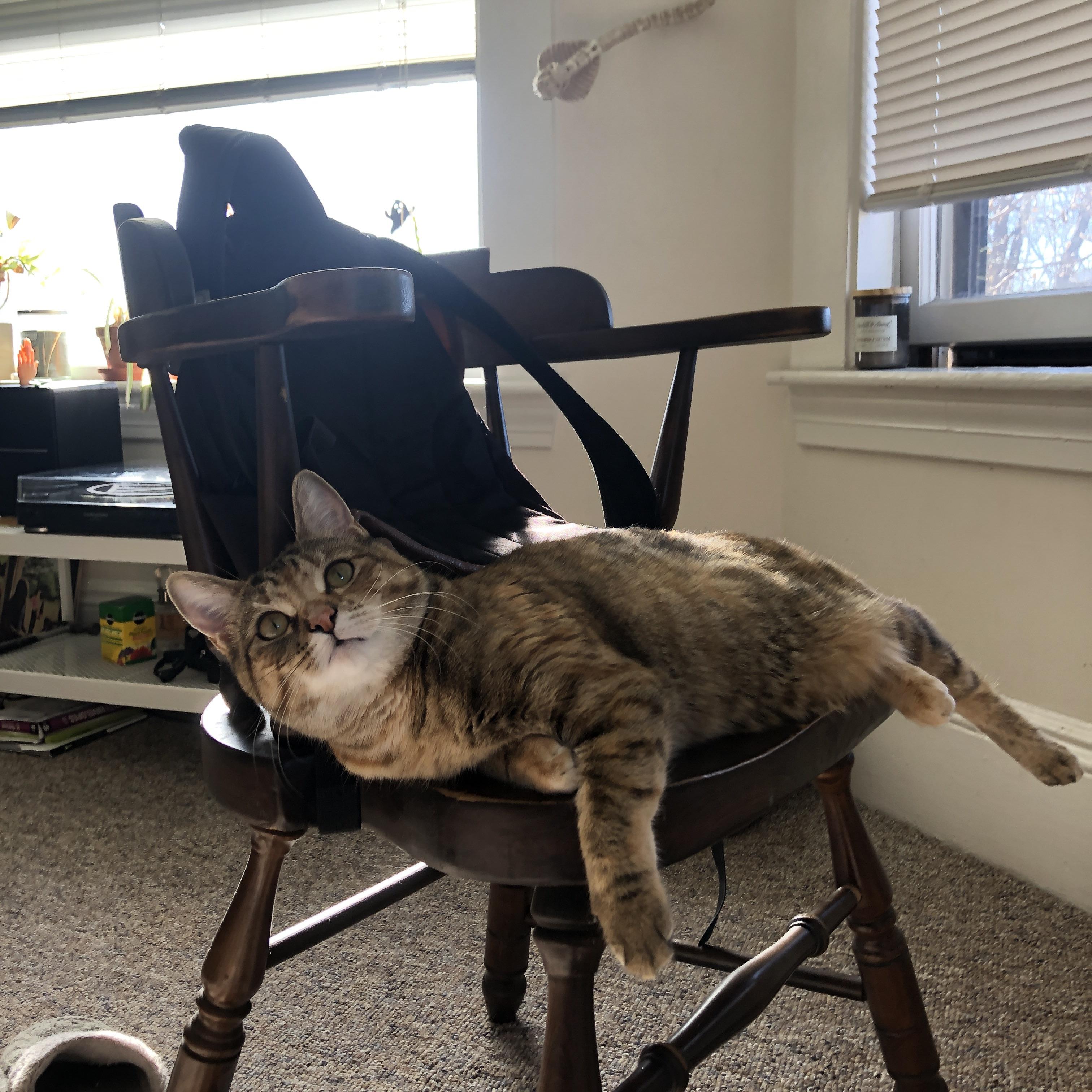 随机国际足球比赛中球员们展现出全力以赴的拼搏态度，足球队员比赛