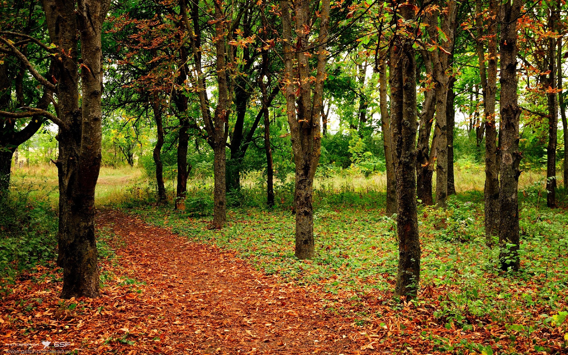 拉比奥特续约尤文图斯,拉比奥自由转会尤文图斯,c罗之后免签成斑马军团日常