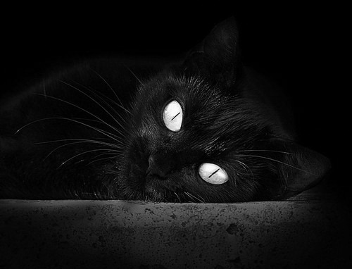 随机毕尔巴鄂竞技客场1-2不敌马洛卡，遗憾落败，毕尔巴鄂对马略卡比分预测