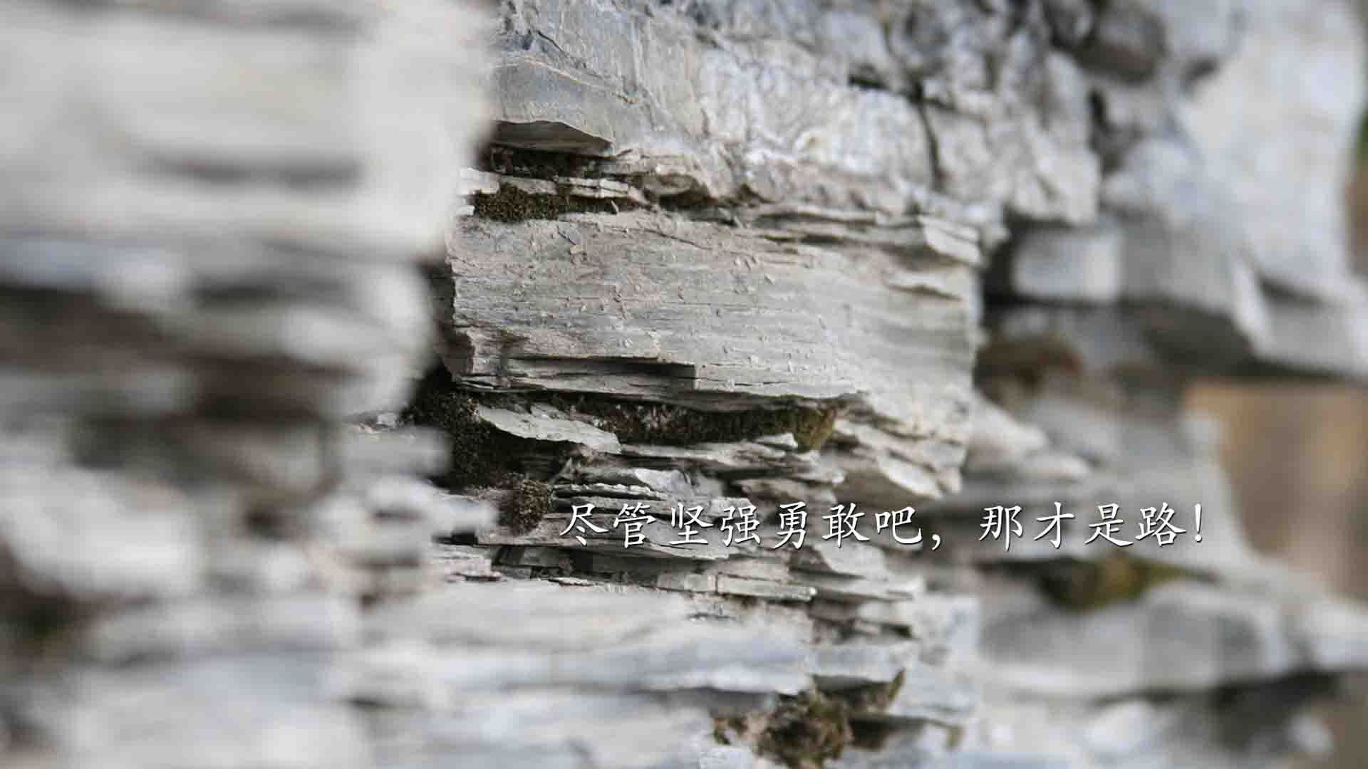 随机瑞典战队 Dignitas 在 CCT 赛事中表现突出，瑞典队战绩