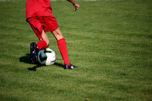 随机意甲裁判语义分析系统在比赛判罚中的应用研究，意甲裁判名单