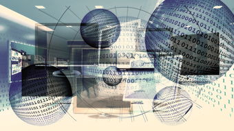 随机篮球专项体能训练周期化设计与实施研究，篮球专项体能训练方案